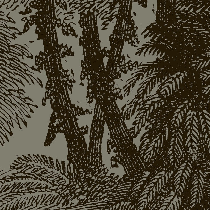 Tropical Canopy Wall Mural - Block Print Black