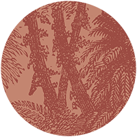 Tropical Canopy Wall Mural - Burgundy