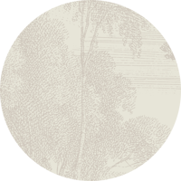 Edge of a Wood Wall Mural - Slate Gray