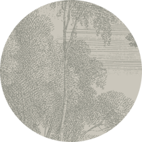 Edge of a Wood Wall Mural - Slate Gray