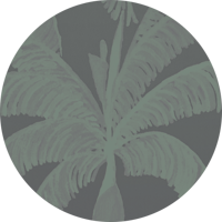 Palm Line Wall Mural - Daylight
