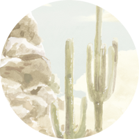 Sonoran Desert Wall Mural - True Tone