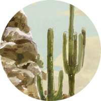 Sonoran Desert Wall Mural - True Tone