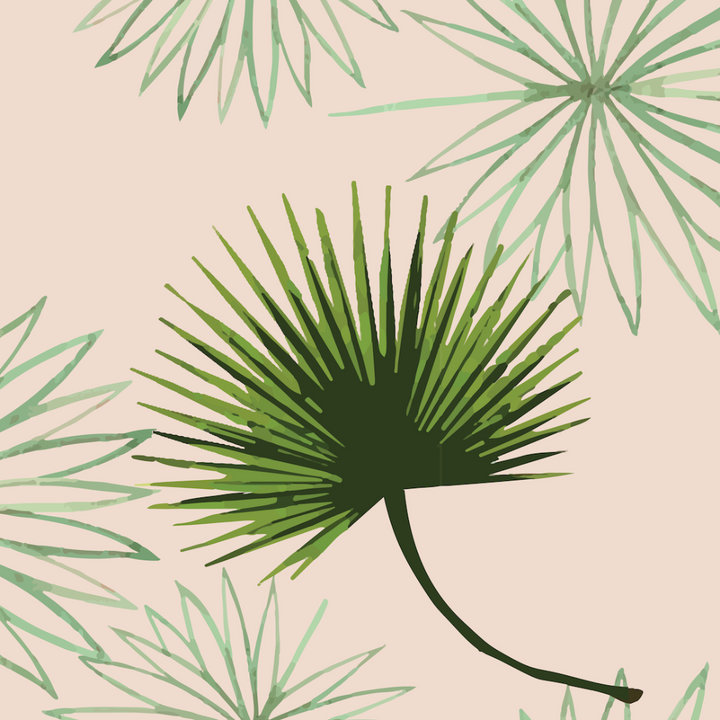 Cabbage Palm - Pink Floral Wallpaper by Bohemian Bungalow