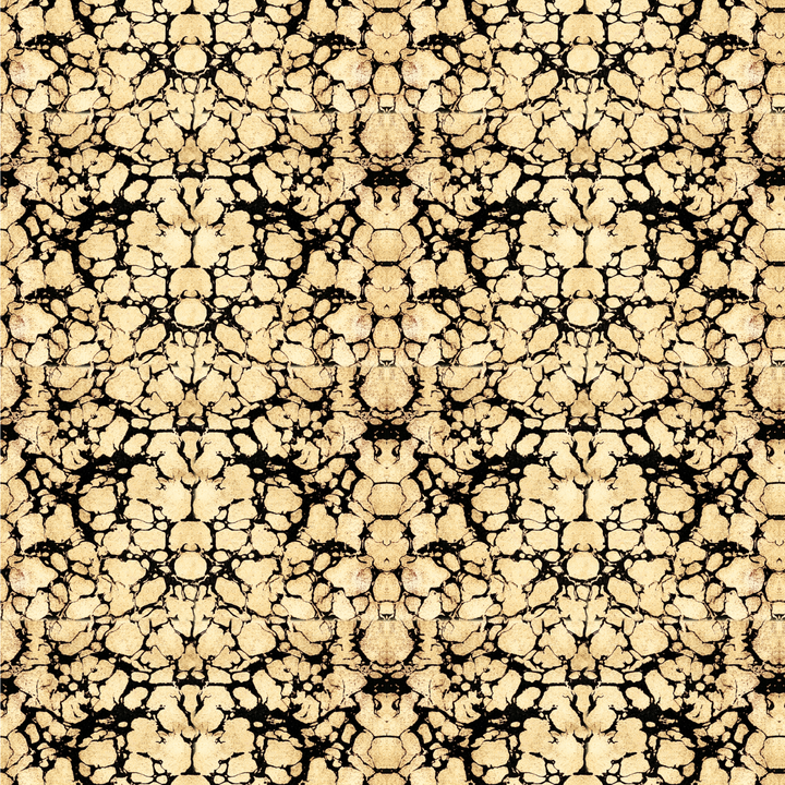 Golden Tortoise Wallpaper