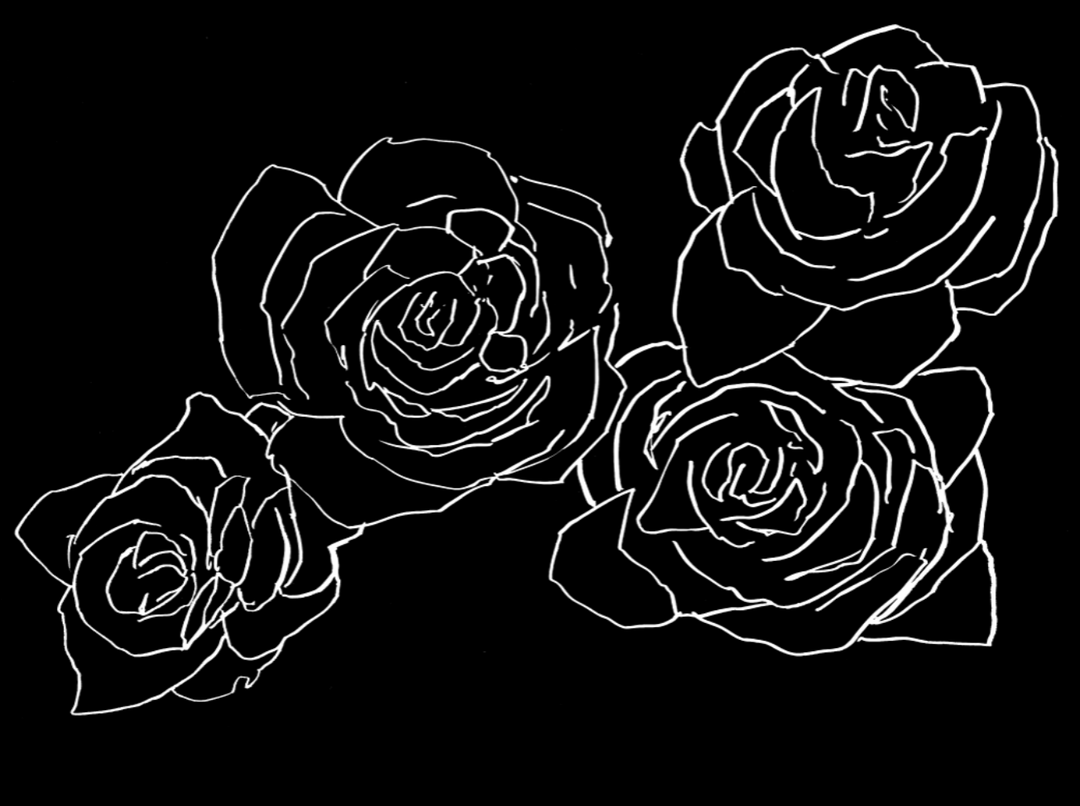 Black and white rose wallpaper deals