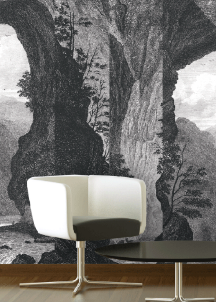 This vintage etching wallpaper - Mitchell Black Mountain Mural is easy to hang and easy to remove. 