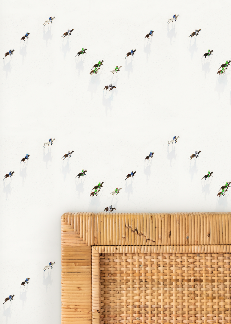 Snow Polo Wallpaper by Gray Malin