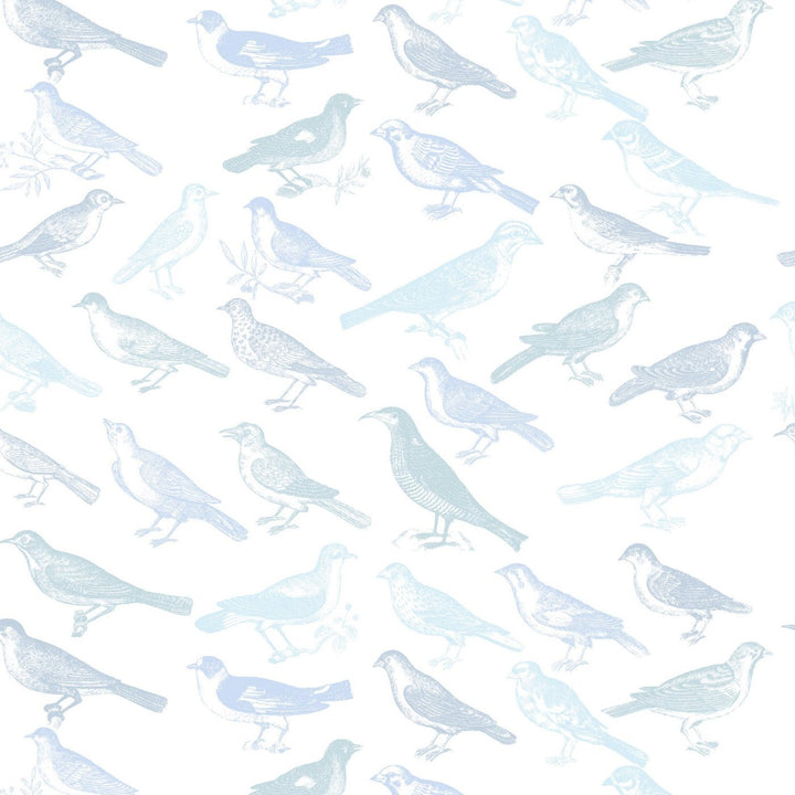 Tweeter - Blue Wallpaper